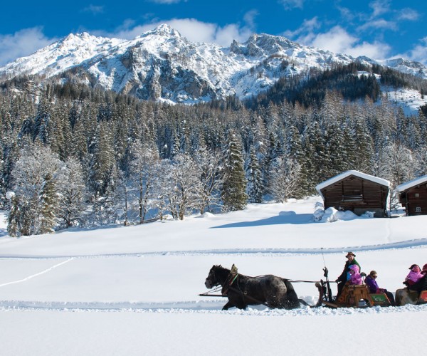 Pferdeschlittenfahrt durch die weiße Winterlandschaft im Winterurlaub in Kleinarl © Wagrain-Kleinarl Tourismus